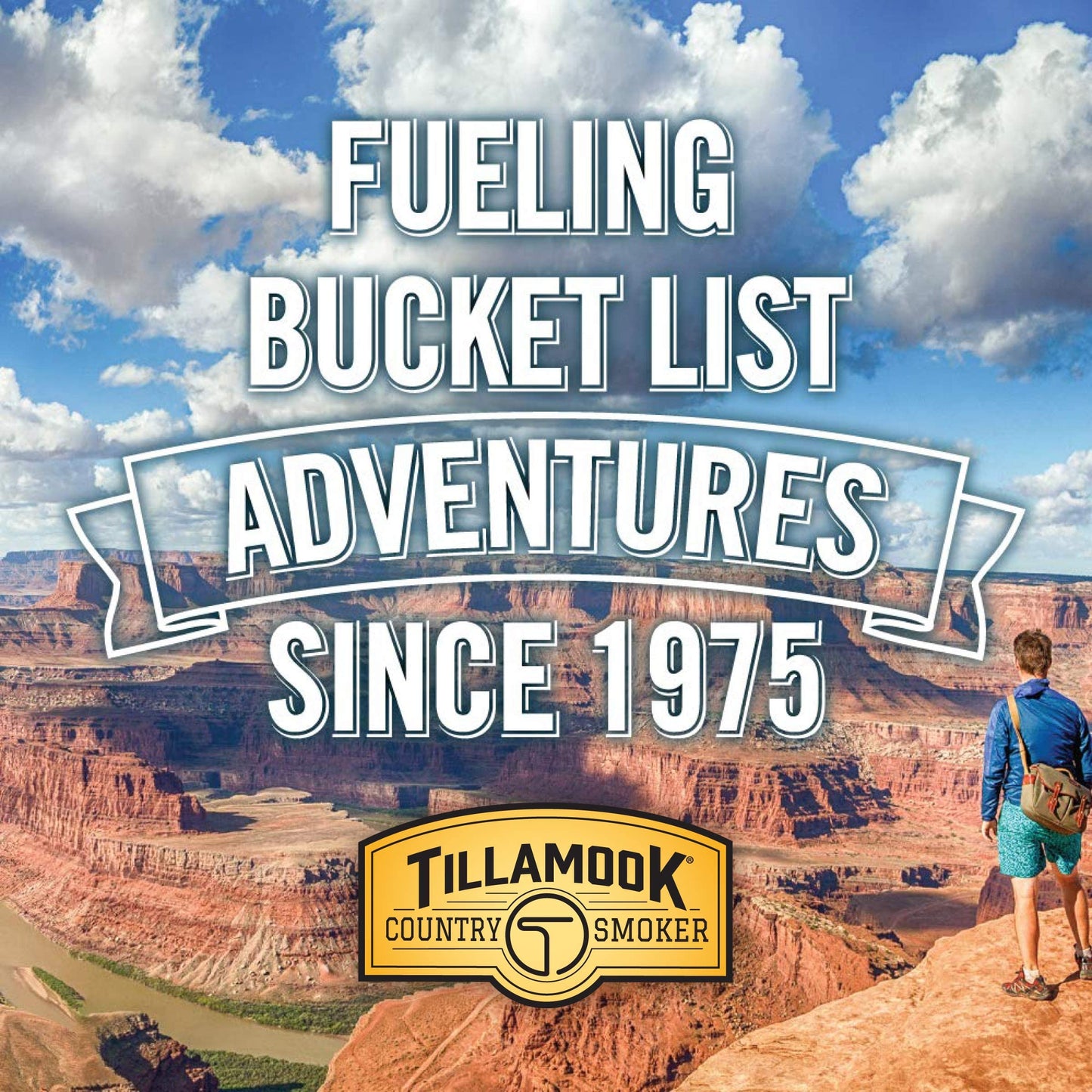 Tillamook Country Smoker Real Hardwood Smoked Sausages, Original Beef, 15.2 Ounce Tall Jar, 20 Count