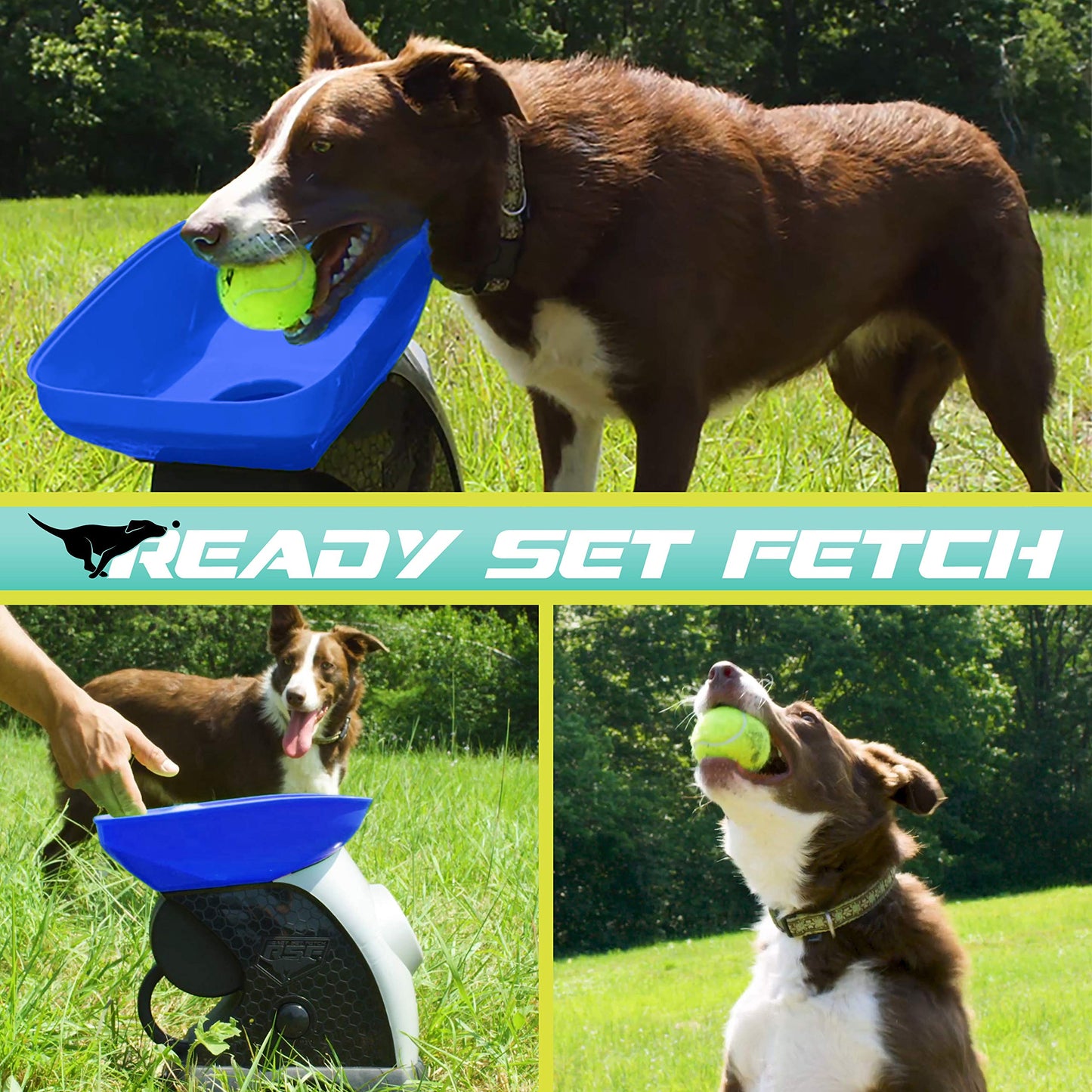 Franklin Pet Supply Co. Ready Set Fetch Automatic Tennis Ball Launcher Dog Toy - Electronic Thrower for Fetch + Playtime - Launches up to 40 Feet - Official Size
