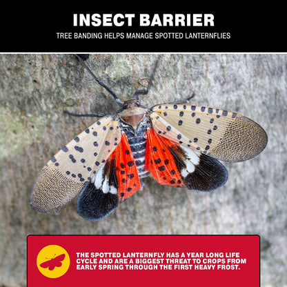 Catchmaster Insect Barrier Kit for Trees -Outdoor Insect Glue Traps for Ornamental Plants, Shrubs & Trees - DIY Beetles, Lanternflies, Cankerworms, Gypsy Moth & Ant Traps - Includes Spreader